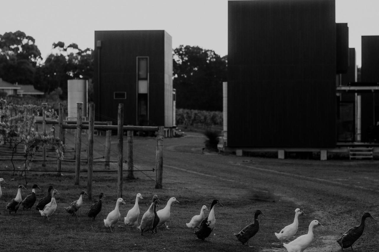 Barn Hives Yallingup Esterno foto